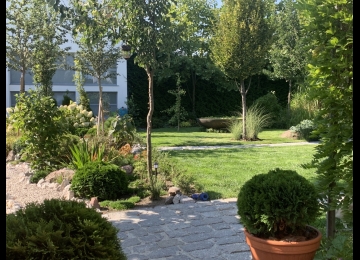 Ogród 1.jpg
